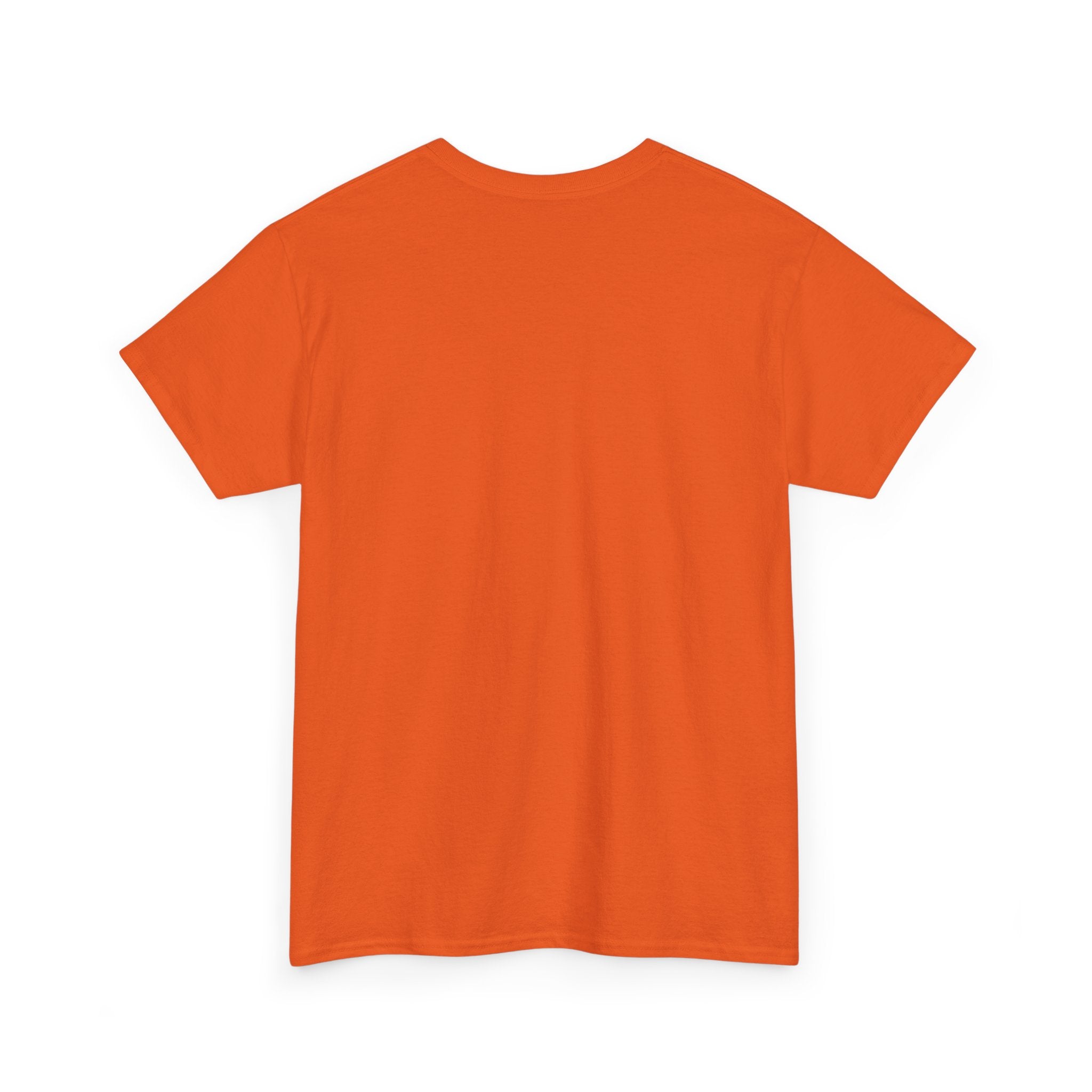 IT Lady at Work / Cat Lady at Home Softstyle T-Shirt