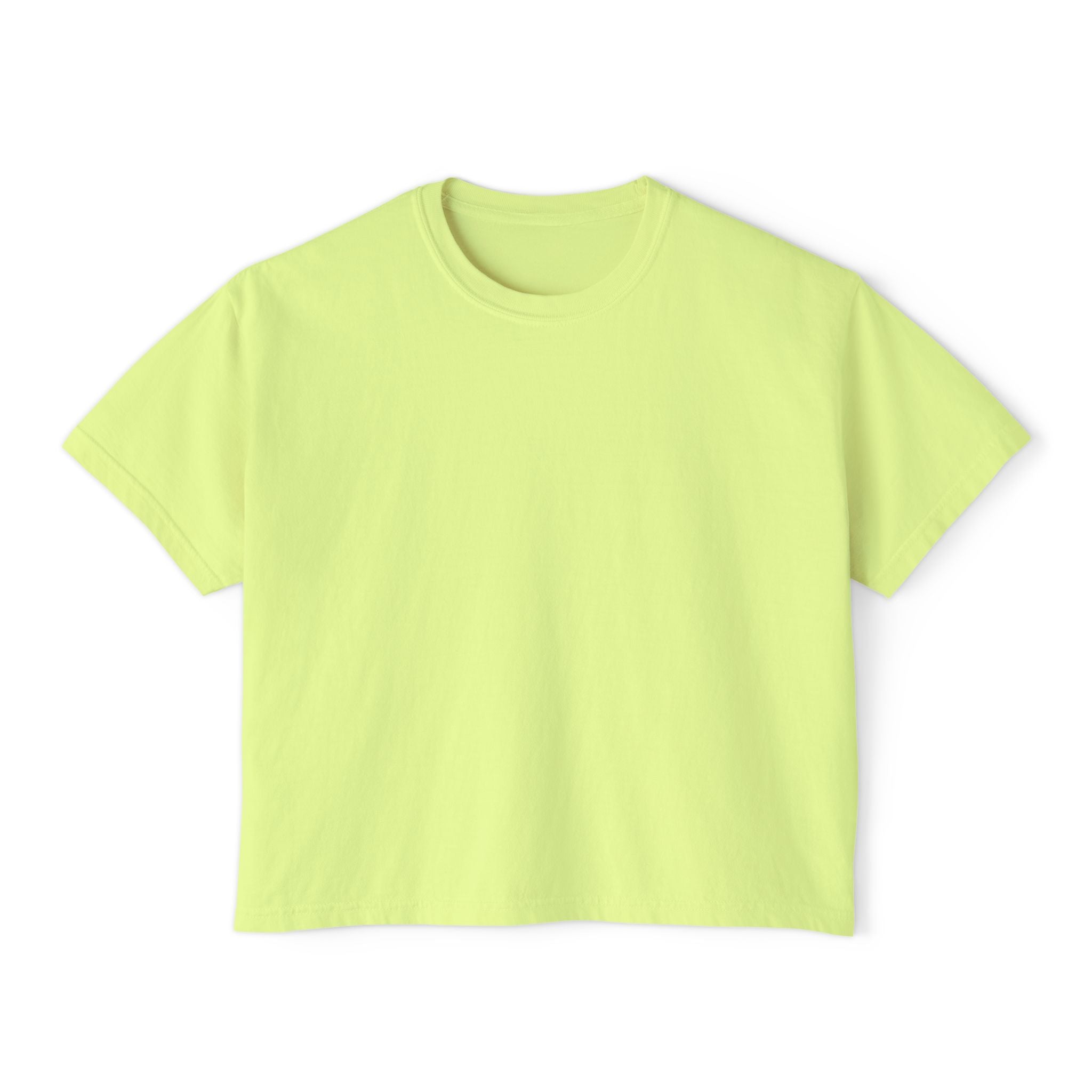 Professional Password Resetter Women's Boxy T-Shirt