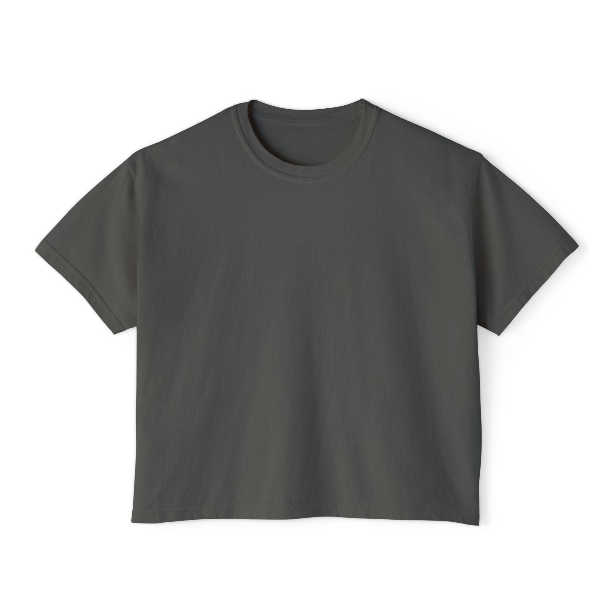 Professional Password Resetter Women's Boxy T-Shirt
