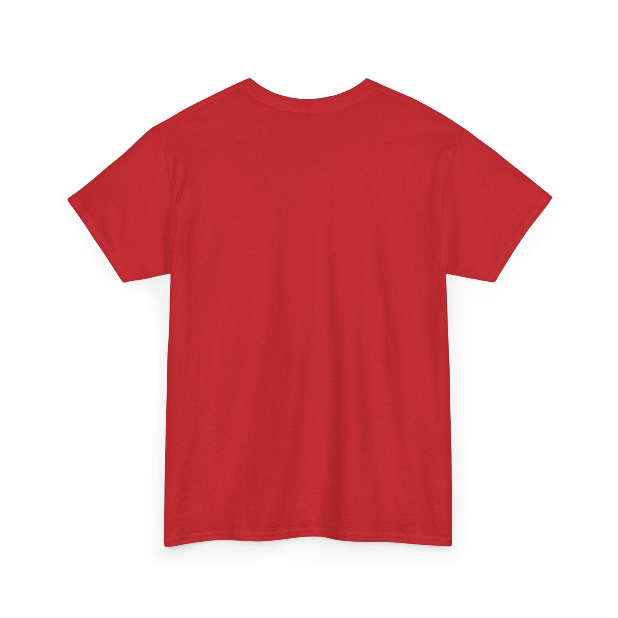 Things I Do in My Spare Time (Code) Unisex Heavy Cotton T-Shirt