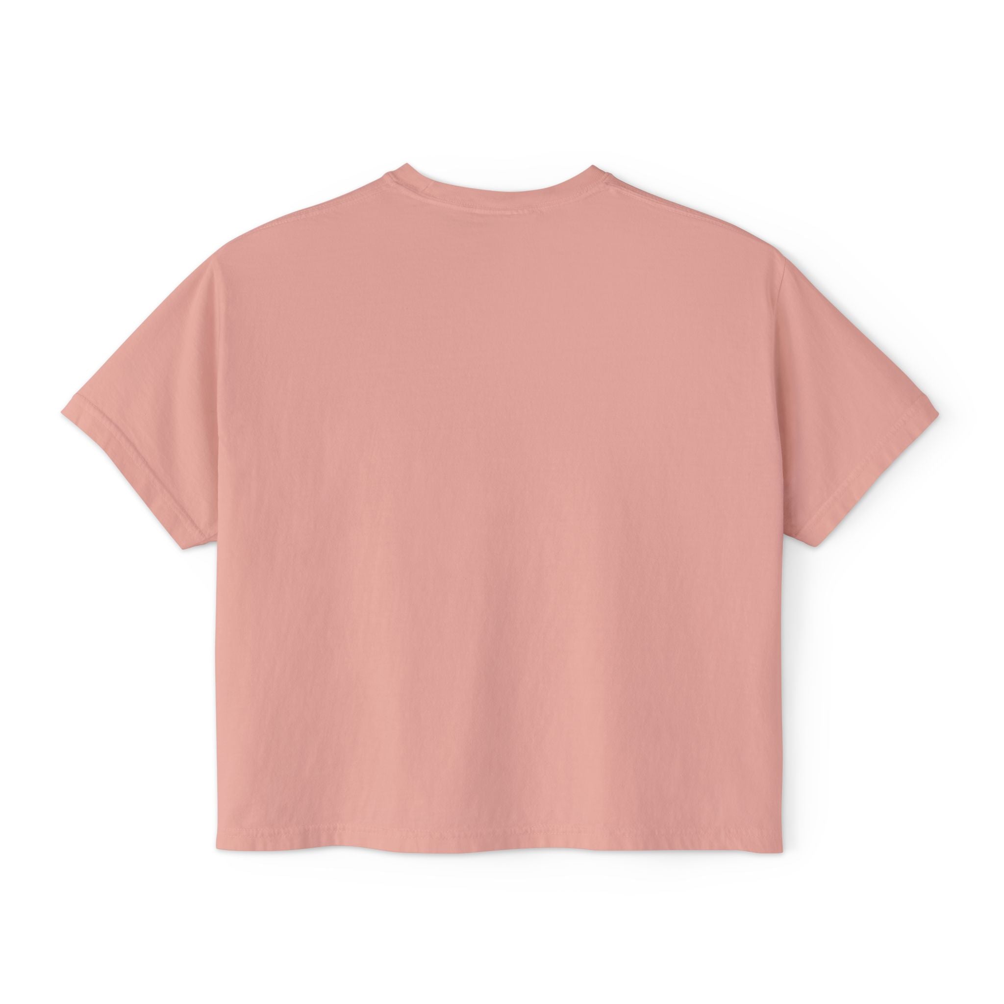 Please Submit a Ticket ("We'll Ignore It Together") Boxy Tee