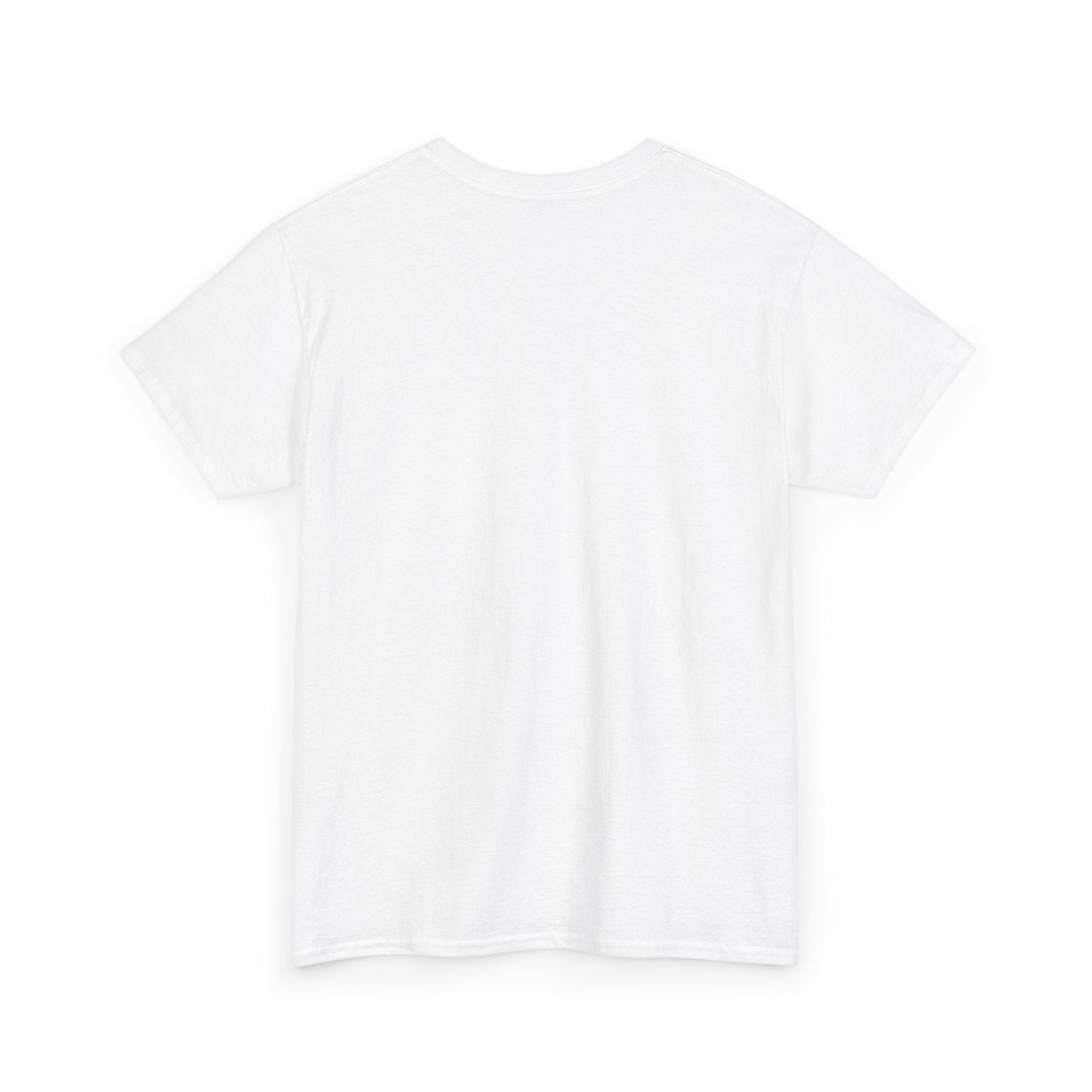 Things I Do in My Spare Time (Code) Unisex Heavy Cotton T-Shirt