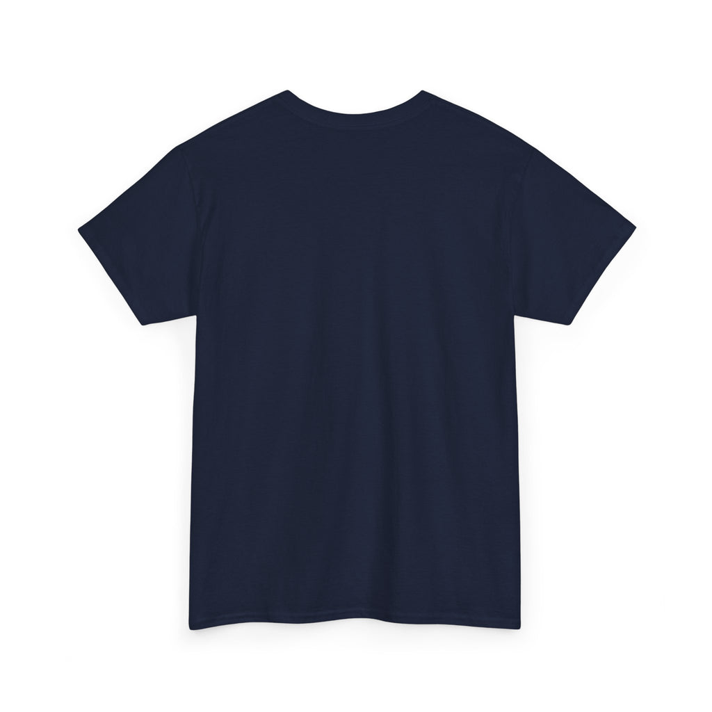 IT Lady at Work / Cat Lady at Home Softstyle T-Shirt