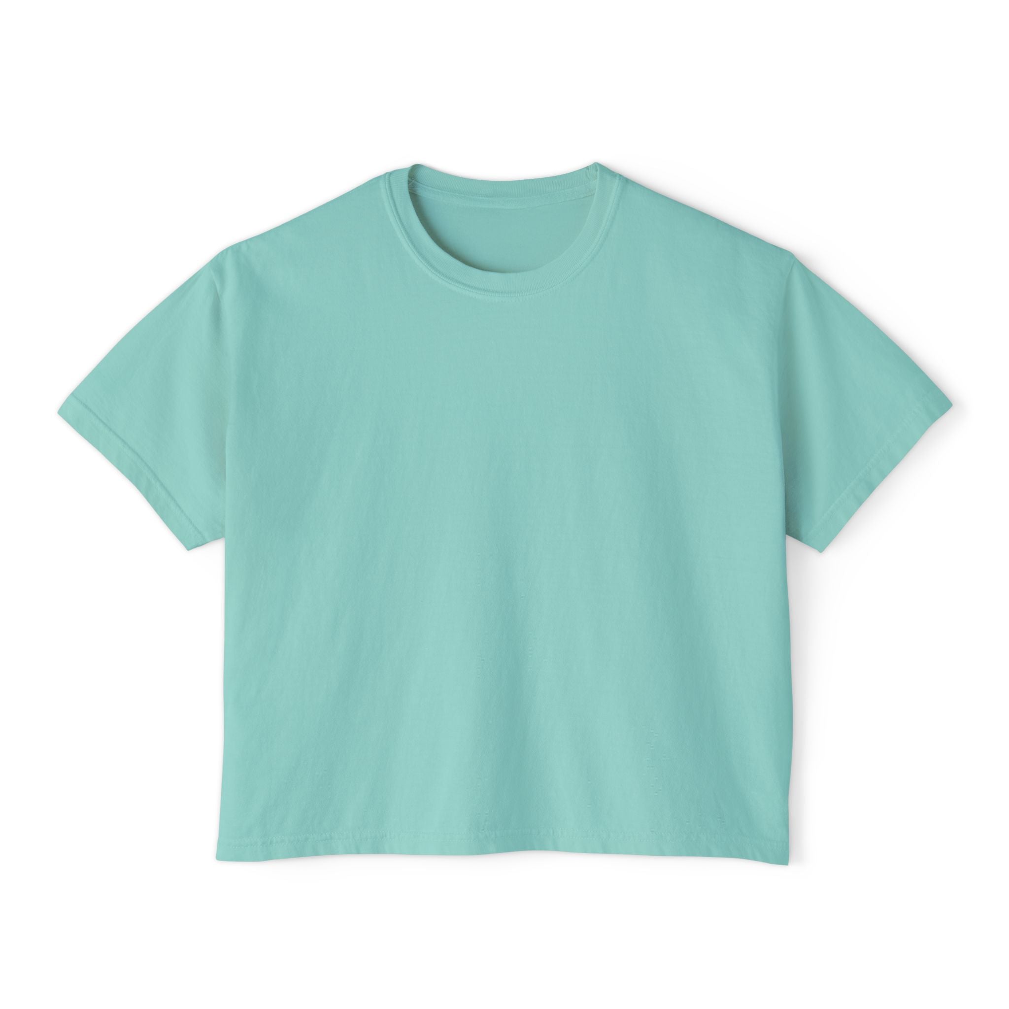 Professional Password Resetter Women's Boxy T-Shirt