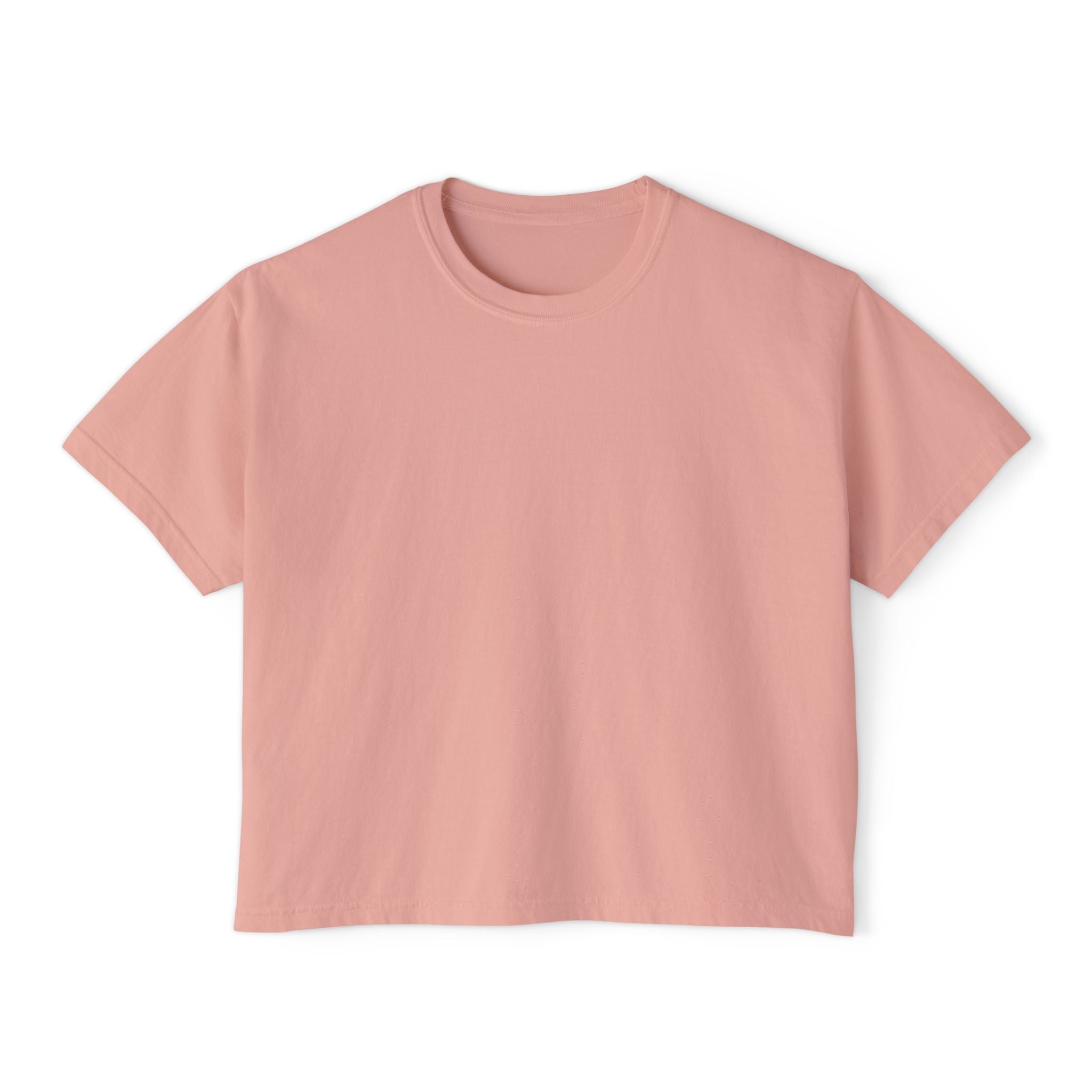Professional Password Resetter Women's Boxy T-Shirt