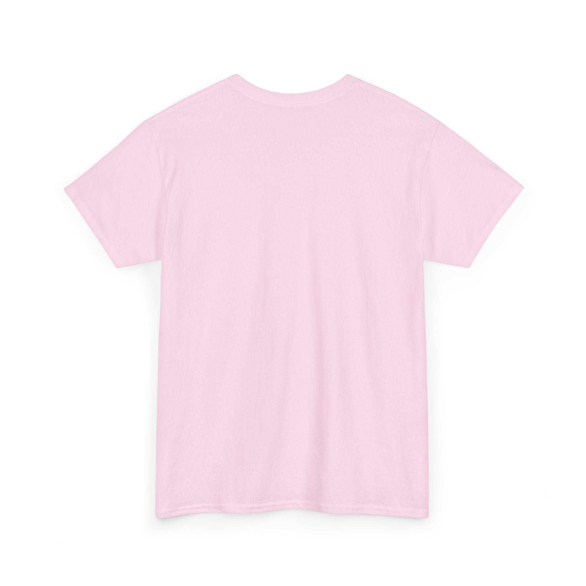 IT Lady at Work / Cat Lady at Home Softstyle T-Shirt