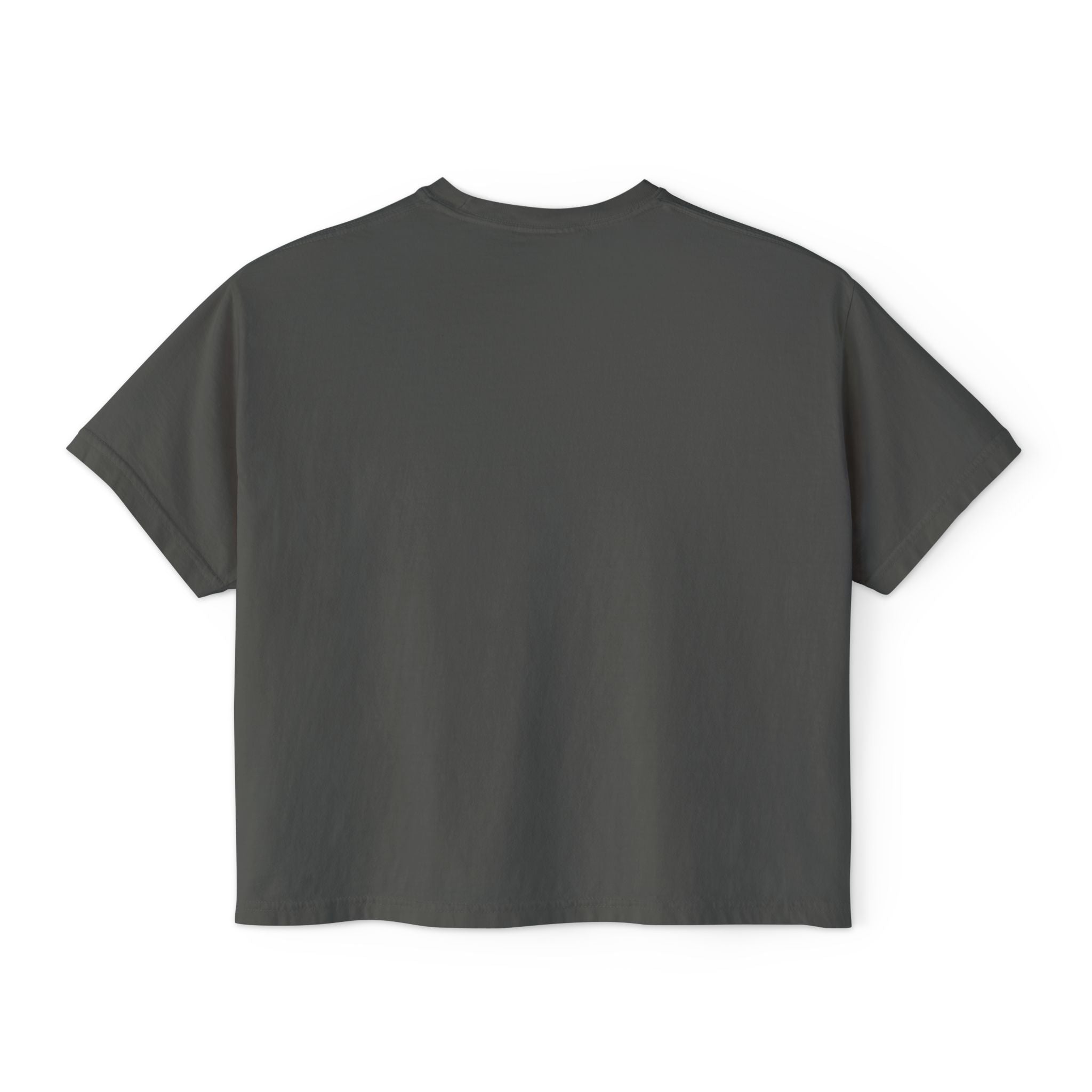 Please Submit a Ticket ("We'll Ignore It Together") Boxy Tee