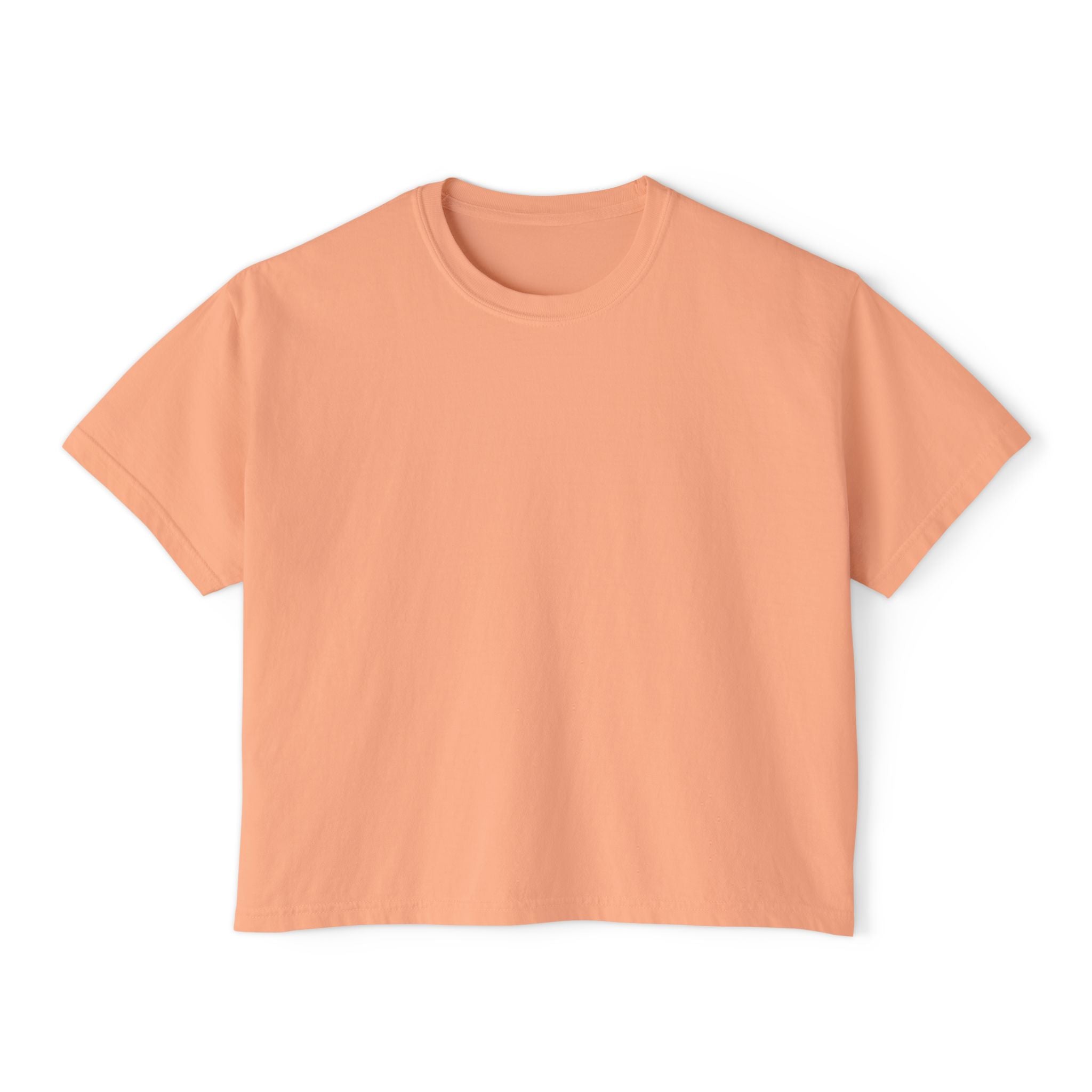 Professional Password Resetter Women's Boxy T-Shirt