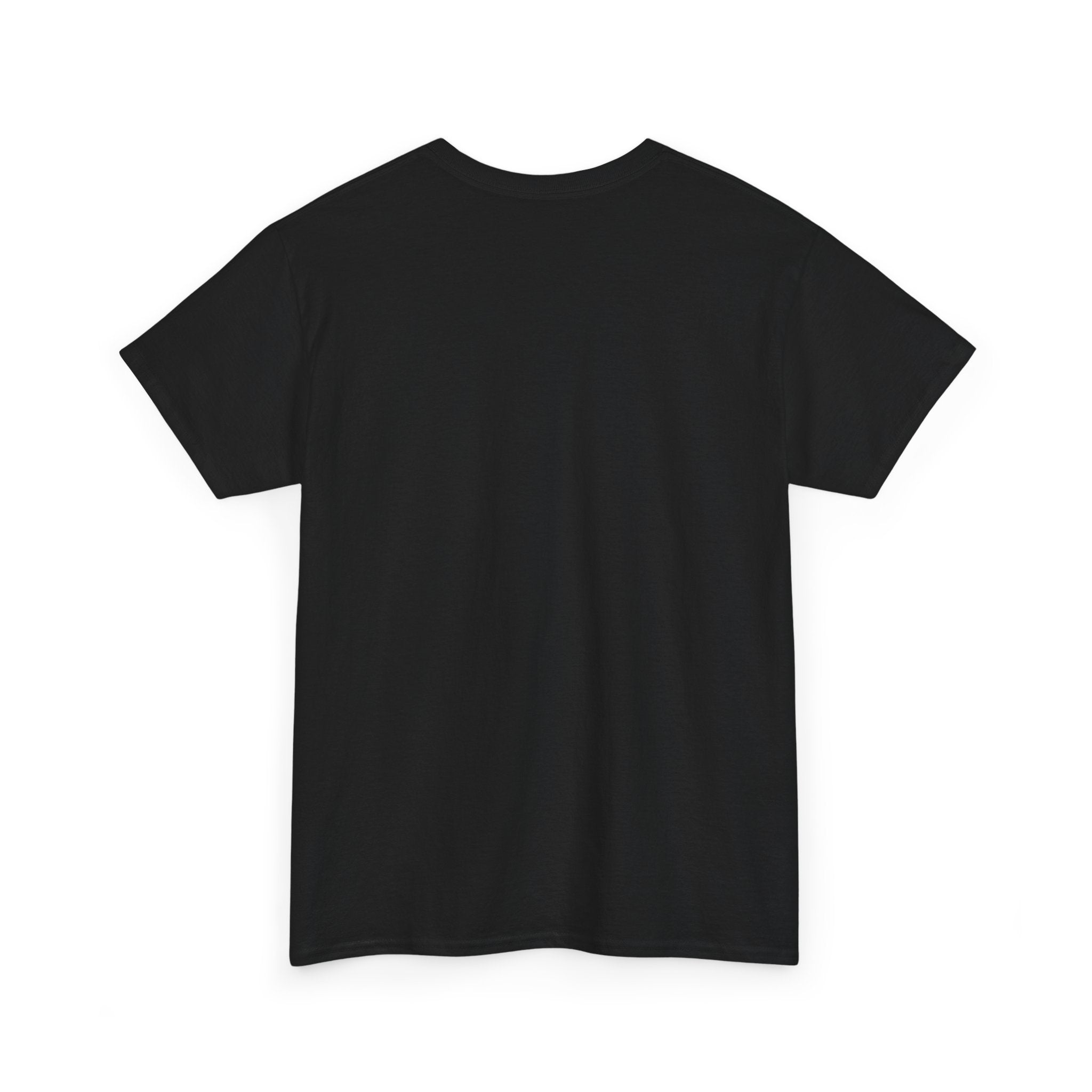 Things I Do in My Spare Time (Code) Unisex Heavy Cotton T-Shirt