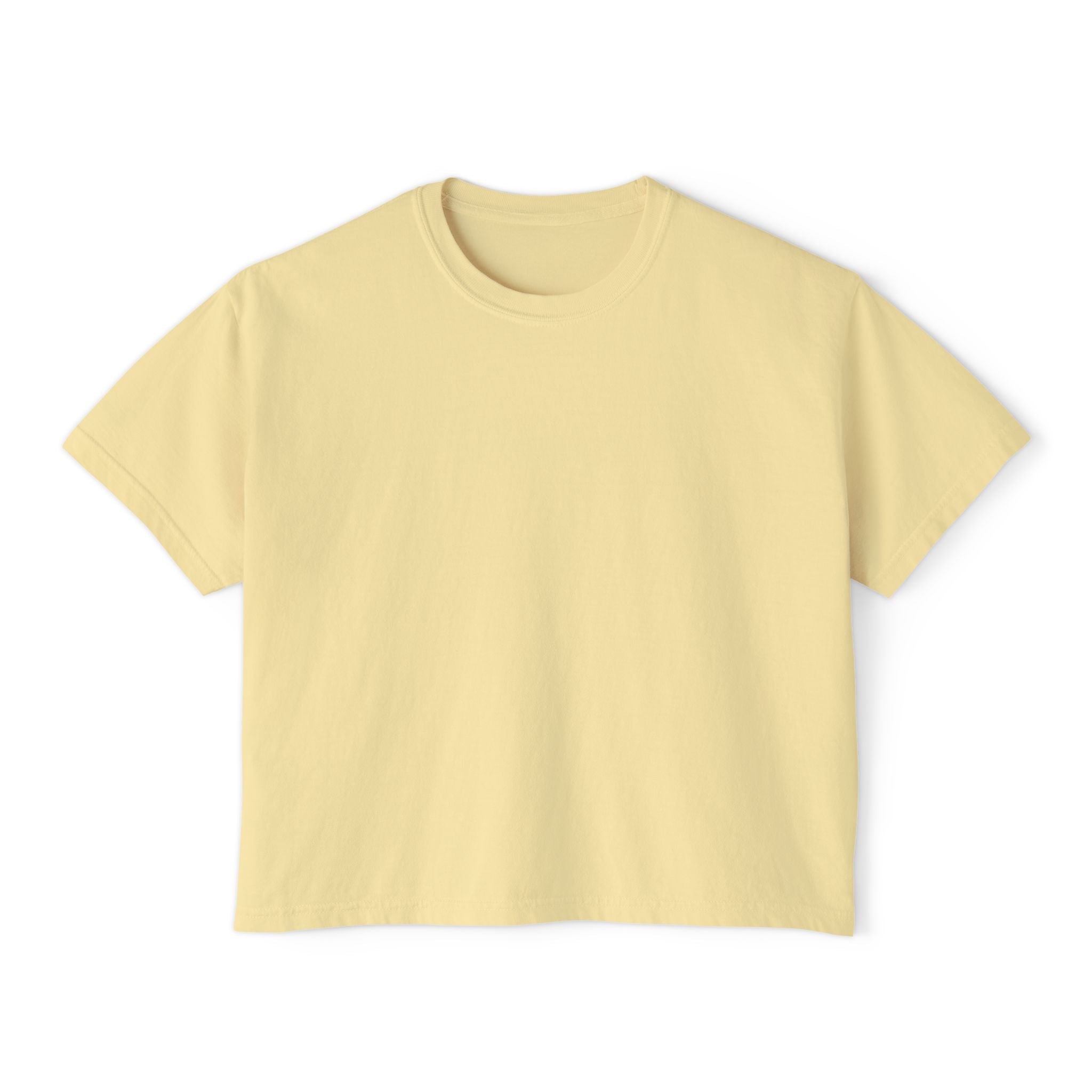 Professional Password Resetter Women's Boxy T-Shirt