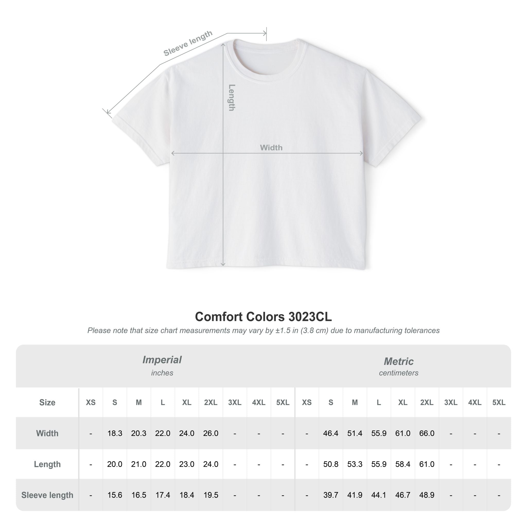 Professional Password Resetter Women's Boxy T-Shirt