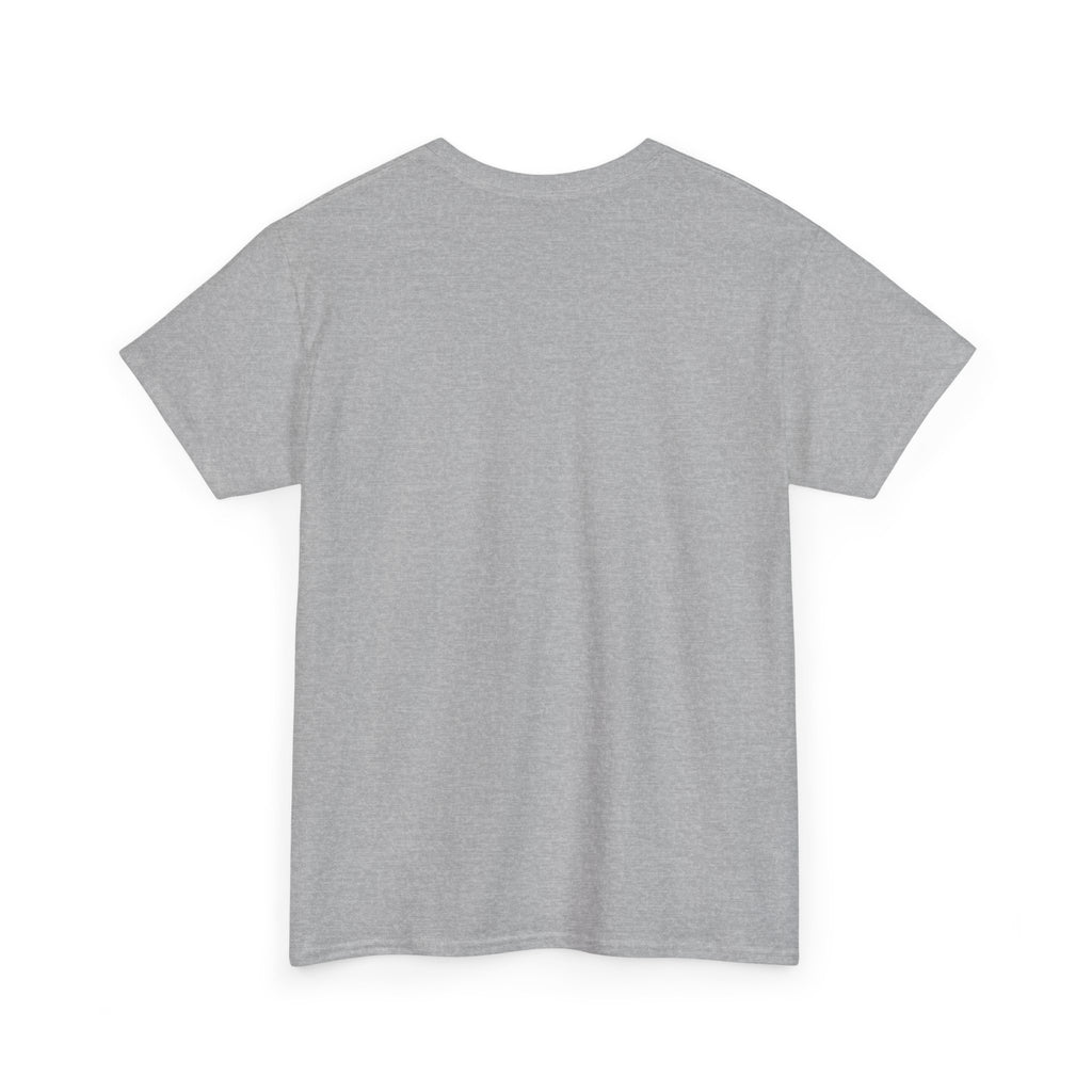 IT Lady at Work / Cat Lady at Home Softstyle T-Shirt
