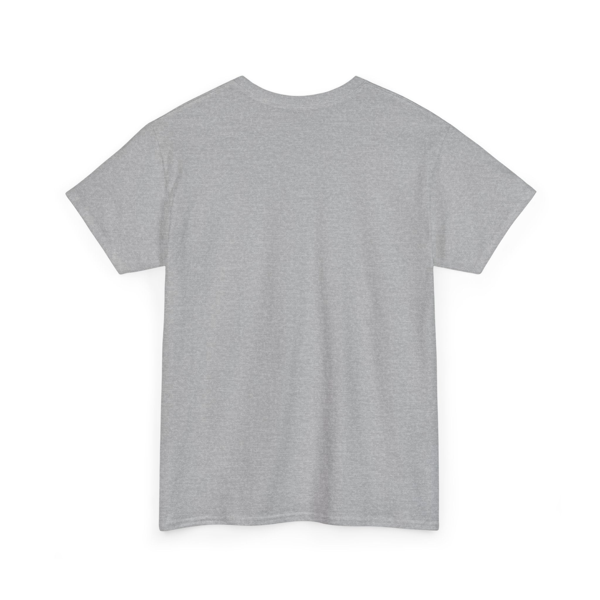 IT Lady at Work / Cat Lady at Home Softstyle T-Shirt