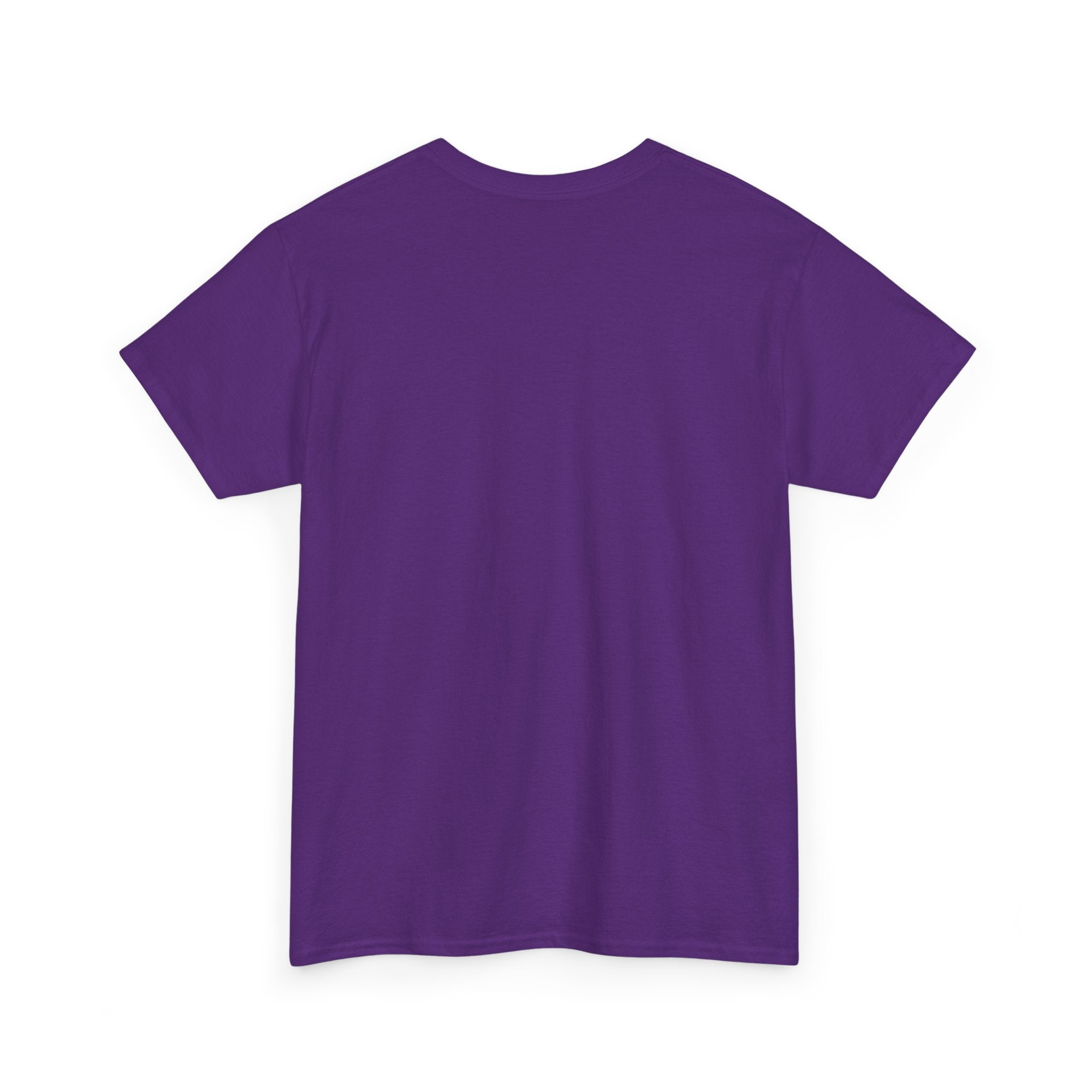 Things I Do in My Spare Time (Code) Unisex Heavy Cotton T-Shirt