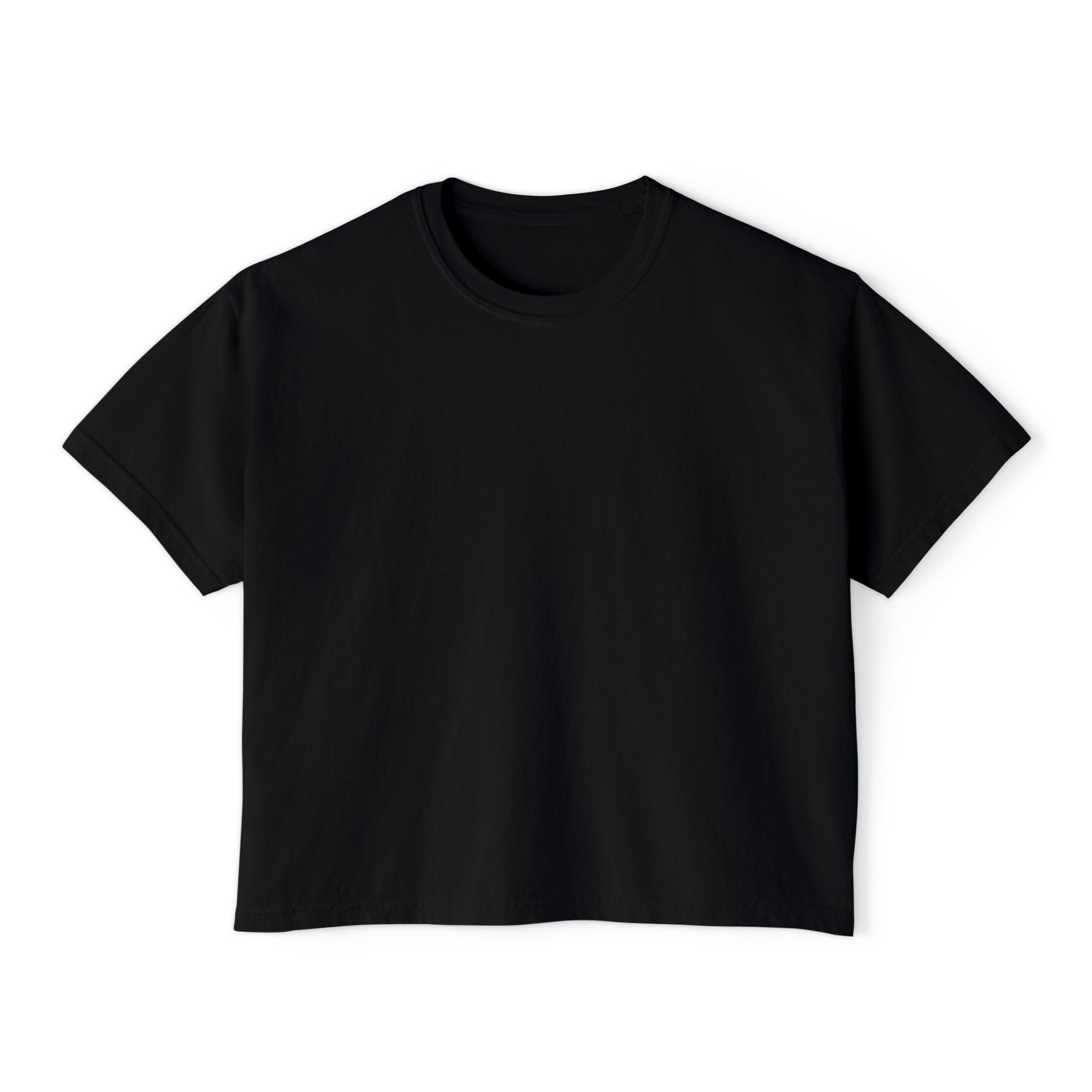 Professional Password Resetter Women's Boxy T-Shirt